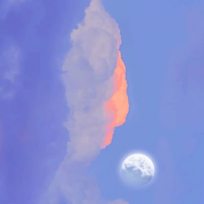 Lance Gokongwei avatar